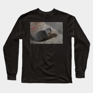 Mongoose Long Sleeve T-Shirt